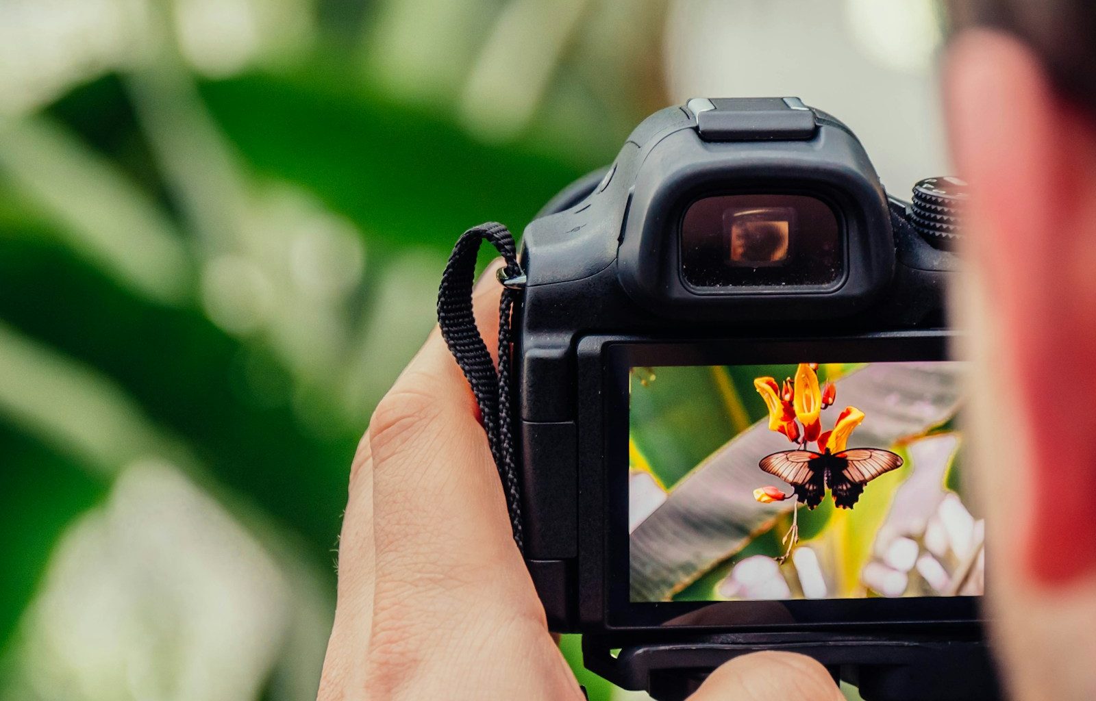 black digital camera capturing yellow flower