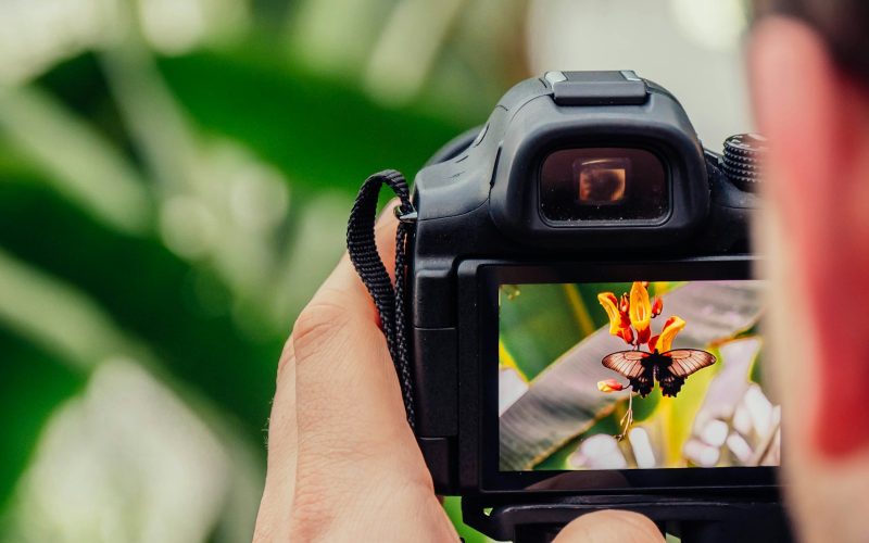 black digital camera capturing yellow flower