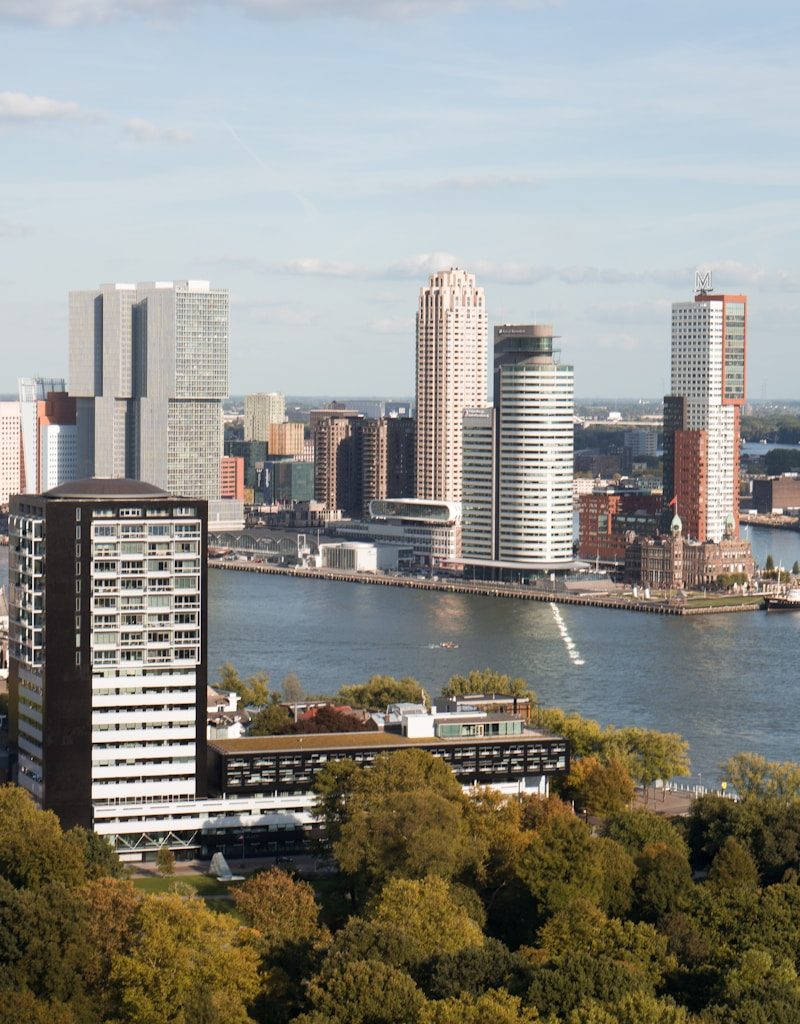 city skyline near body of water during daytime