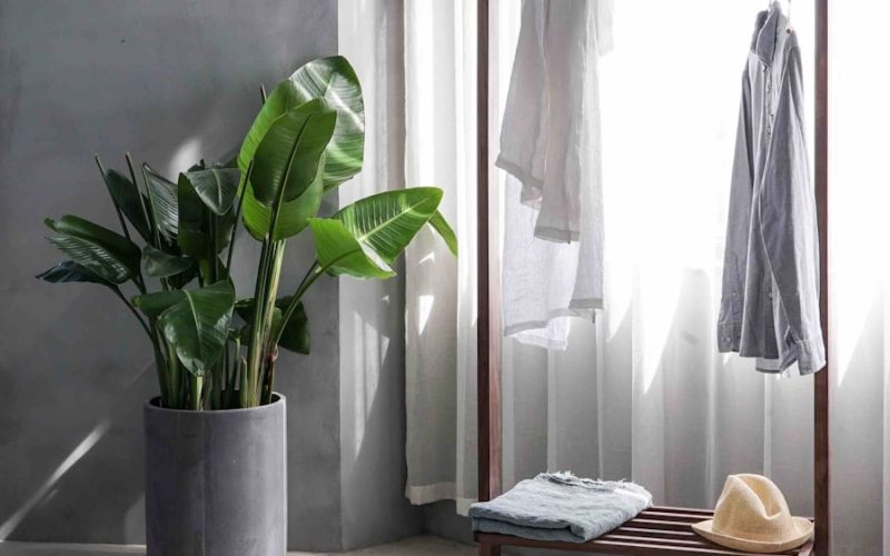 gray dress shirt hang on brown wooden rack in front of window with white curtain